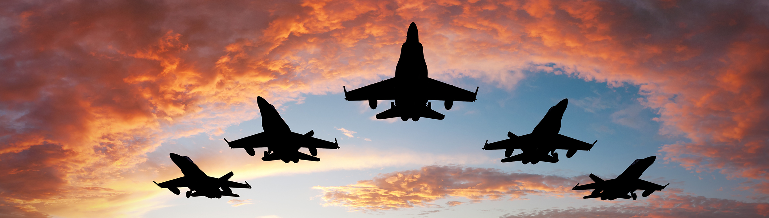 Foreign Military Sales